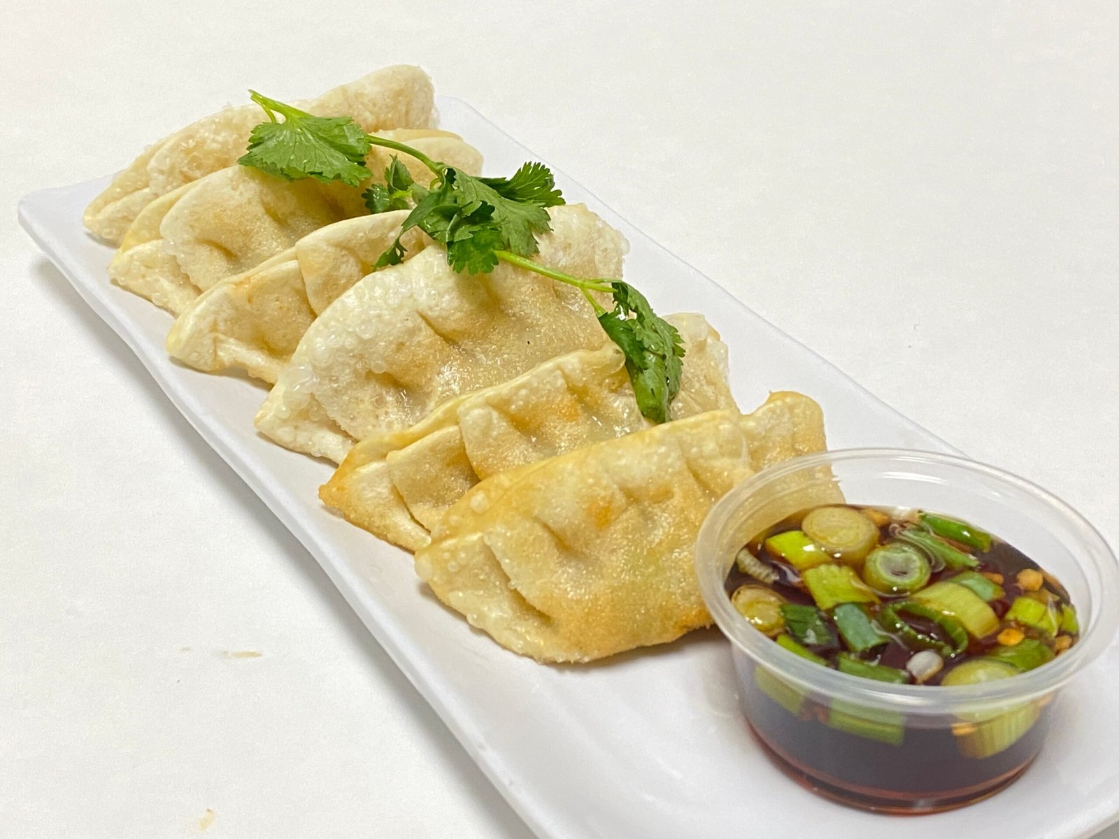 CHICKEN POT STICKERS (6)